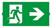 Пиктограмма Arlight EMERGENCY 046667 цвет Зеленый