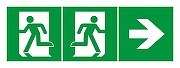 Пиктограмма Arlight EMERGENCY 049424 цвет Зеленый