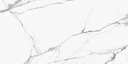 Керамогранит NewTrend Калакатта Регал / Calacatta Regal 60120REG00P Полированный 60х120 см-2