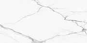 Керамогранит NewTrend Калакатта Регал / Calacatta Regal 60120REG00P Полированный 60х120 см-3