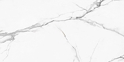 Керамогранит NewTrend Калакатта Регал / Calacatta Regal 60120REG00P Полированный 60х120 см-9