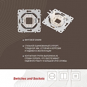 Розетка для вывод кабеля без рамки Arte Milano am-202 202.49-1.shampan цвет Бежевый-6