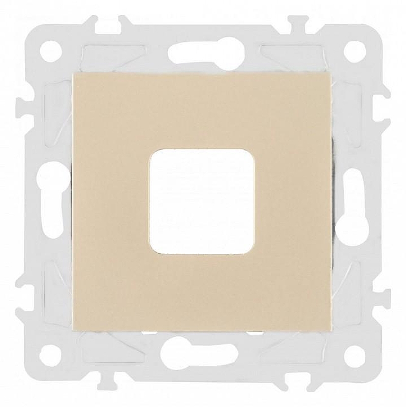 Розетка для вывод кабеля без рамки Arte Milano am-203 203.49-1.shampan 