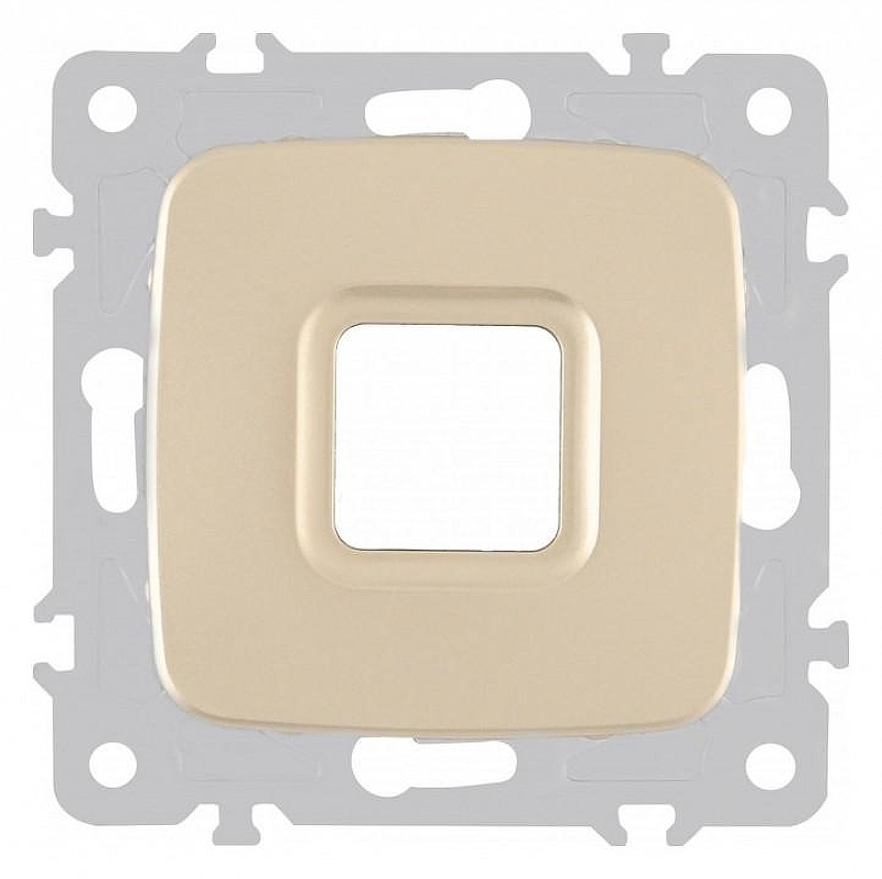 Розетка для вывод кабеля без рамки Arte Milano am-205 205.49-1.shampan 