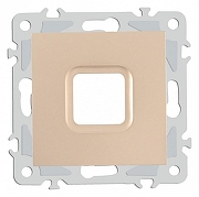 Розетка для вывод кабеля без рамки Arte Milano am-206 206.49-1.shampan цвет Бежевый