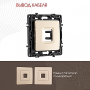Розетка для вывод кабеля без рамки Arte Milano am-217 217.49-1.shampan цвет Бежевый-1