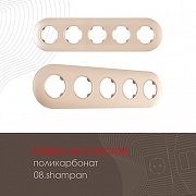 Рамка на 5 постов Arte Milano am-502.08 502.08-5.shampan цвет Бежевый-1