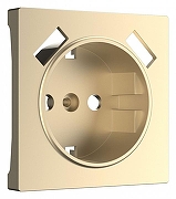 Накладка для розетки с заземлением и 2хUSB Werkel шампань W1179511 цвет Бежевый