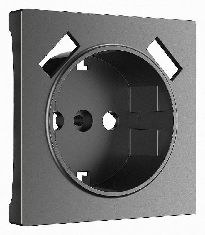 Накладка для розетки с заземлением и 2хUSB Werkel графит матовый W1179564 