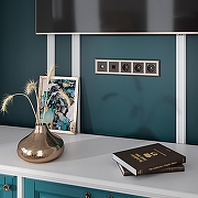 Накладка для ТВ-розетки Werkel бронзовый W1193012 цвет Бронза-2