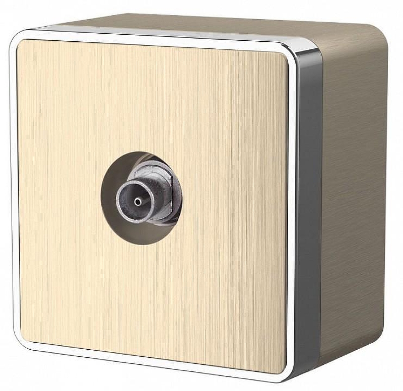 ТВ-розетка оконечная без рамки Werkel Gallant (шампань рифленый) W5083010 