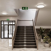 Соединитель ленты с разъемом 'ПАПА' Apeyron Electrics 09-05 цвет белый-3