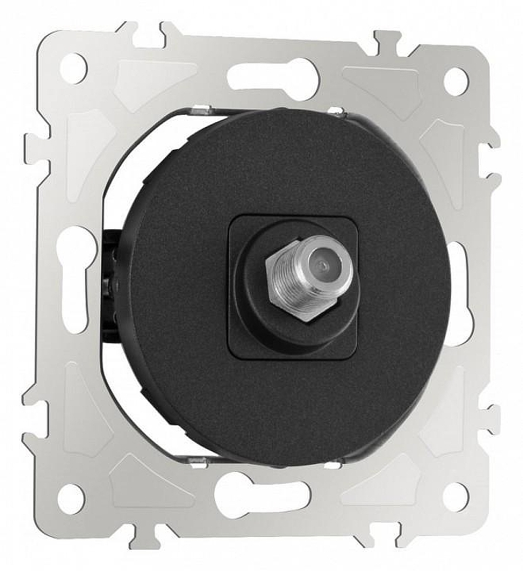 ТВ-розетка без рамки Arte Milano am-202 202.42-1.black 