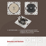 ТВ-розетка без рамки Arte Milano am-202 202.42-1.shampan цвет Бежевый-6