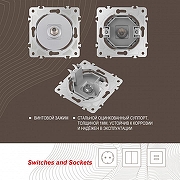 ТВ-розетка без рамки Arte Milano am-202 202.42-1.silver цвет Серебро-6