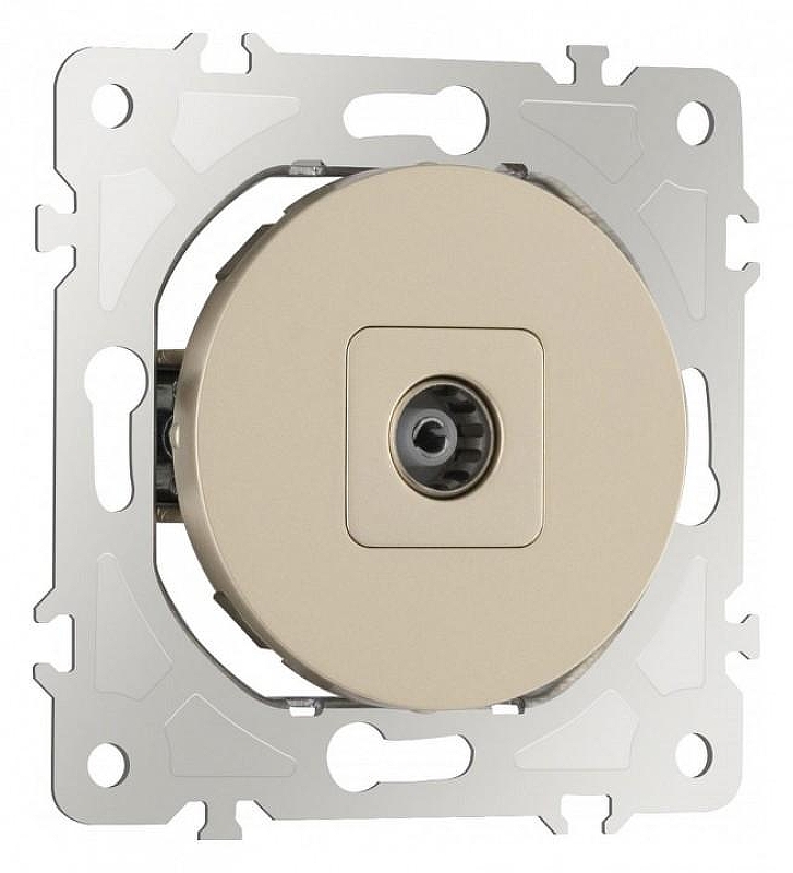 ТВ-розетка без рамки Arte Milano am-202 202.43-1.shampan 