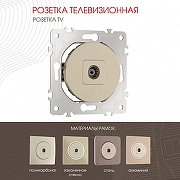 ТВ-розетка без рамки Arte Milano am-202 202.43-1.shampan цвет Бежевый-1