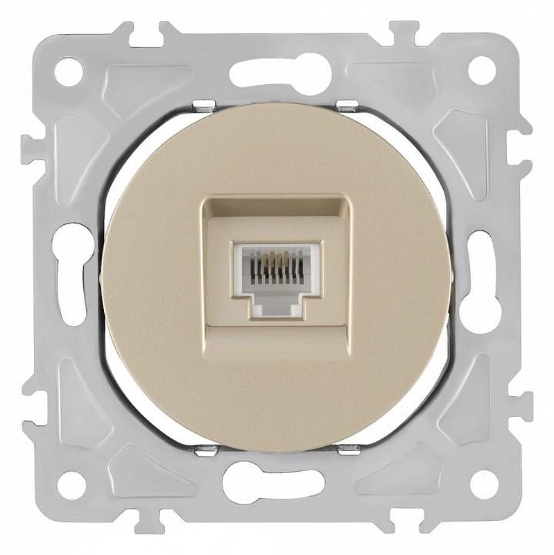 Розетка Ethernet RJ-45 без рамки Arte Milano am-202 202.45-1.shampan 