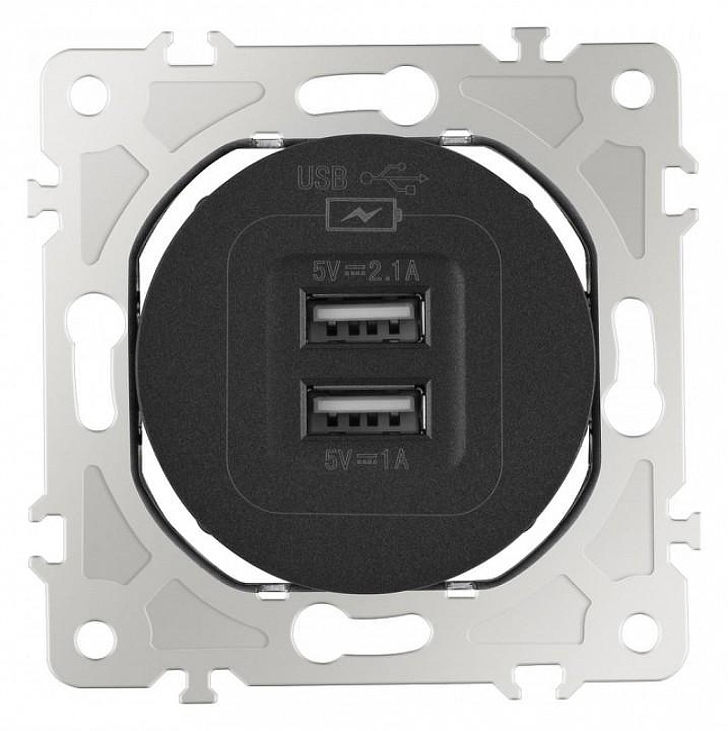 Розетка USB, без рамки Arte Milano am-202 202.46-1.black 