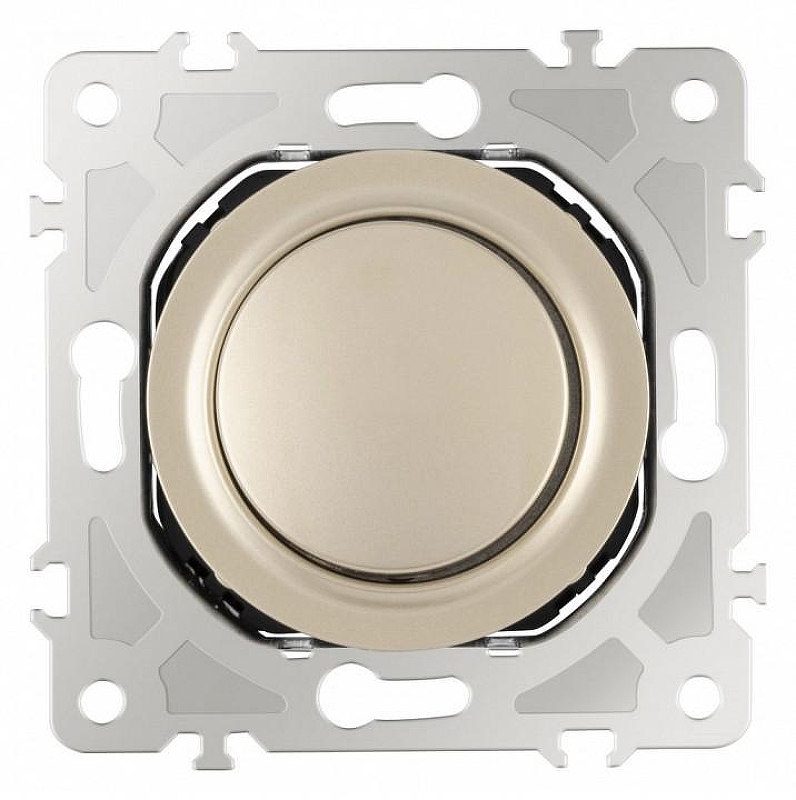 Диммер без рамки Arte Milano 202 202.48-1.shampan 