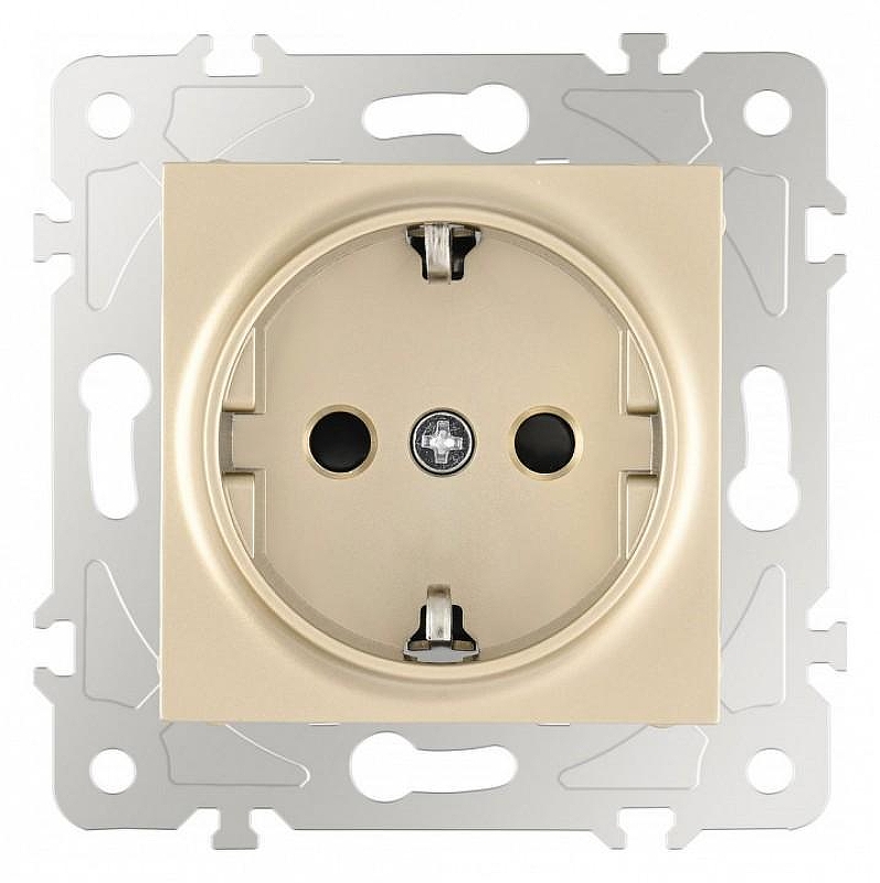 Розетка с заземлением и со шторкой, без рамки Arte Milano am-203 203.40-1.shampan 