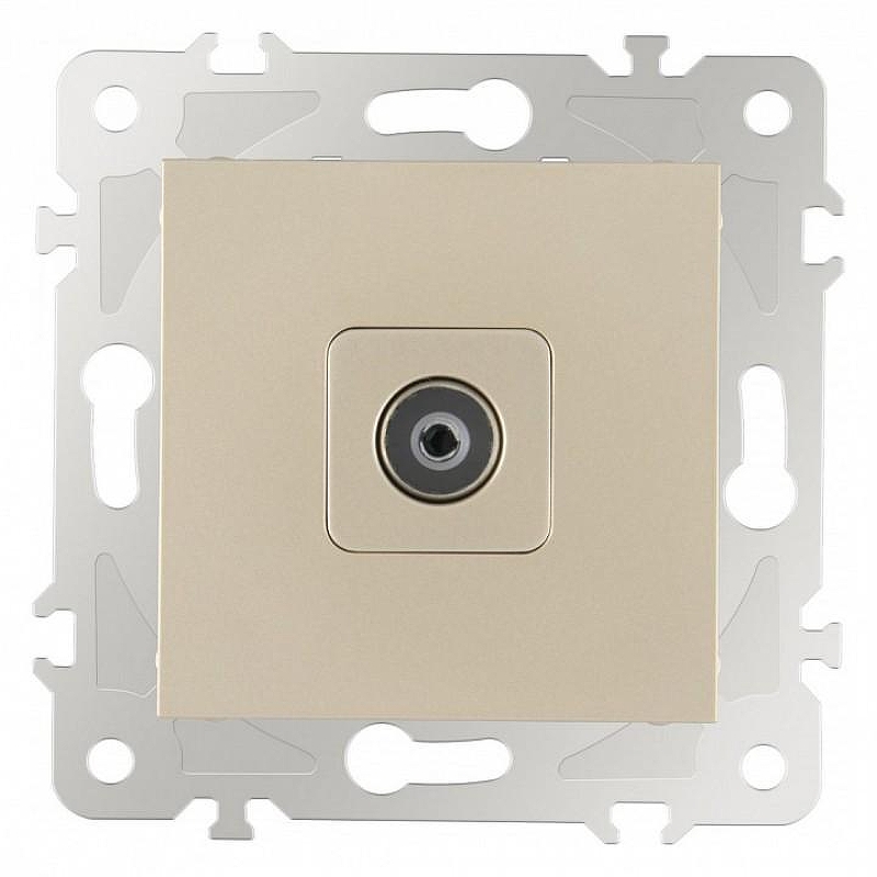 ТВ-розетка без рамки Arte Milano am-203 203.43-1.shampan 