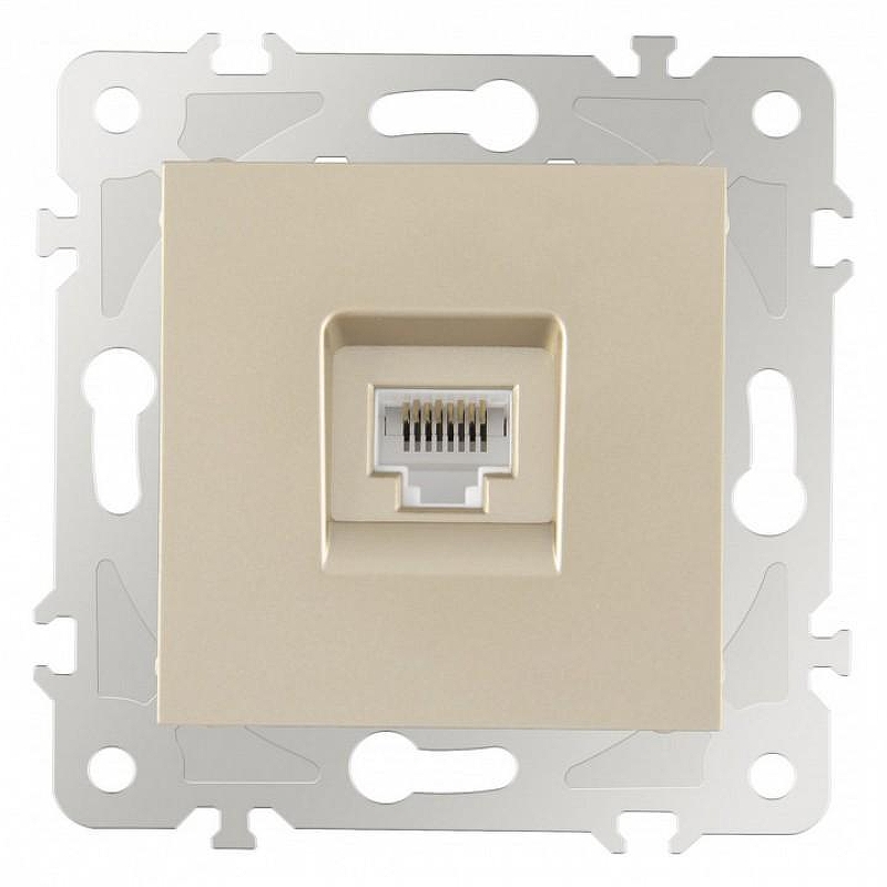 Розетка Ethernet RJ-45 без рамки Arte Milano am-203 203.45-1.shampan 