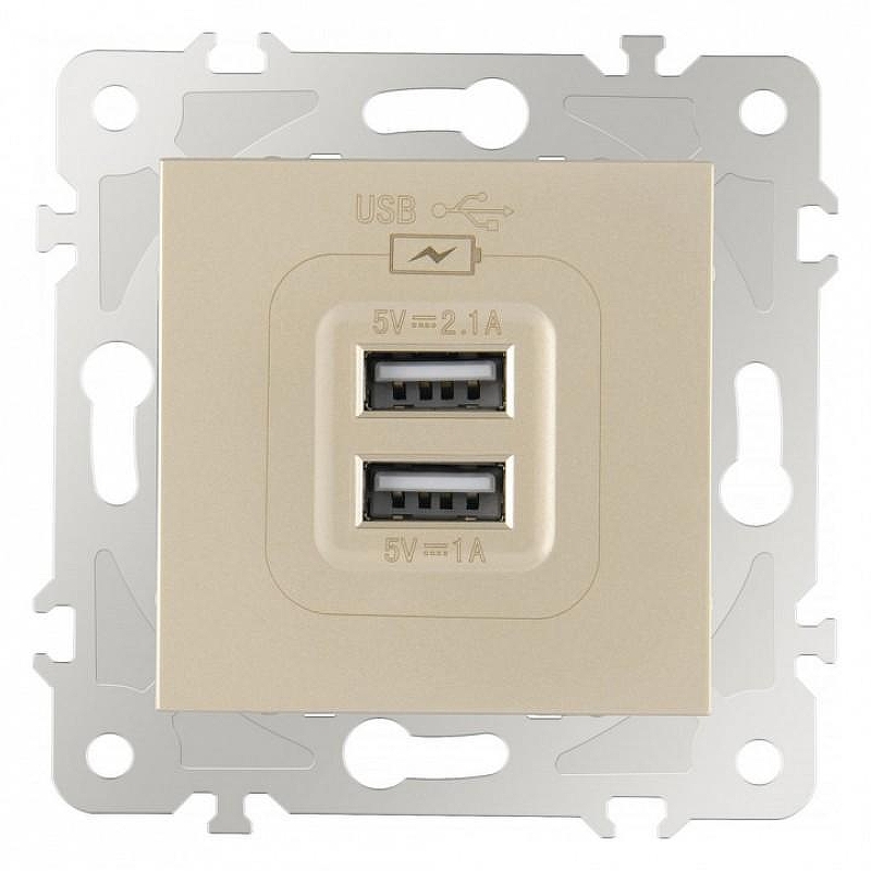 Розетка USB, без рамки Arte Milano am-203 203.46-1.shampan 