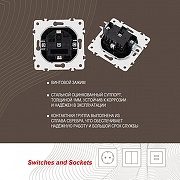 Розетка с заземлением и со шторкой, без рамки Arte Milano am-205 205.40-1.black цвет Черный-3