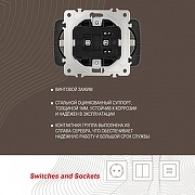 Розетка двойная с заземлением, без рамки Arte Milano am-205 205.40-2.shampan цвет Бежевый-4