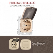 Розетка влагозащищенная с заземлением и со шторкой с крышкой Arte Milano am-205 205.41-1.shampan цвет Бежевый-1