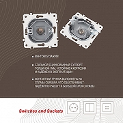 ТВ-розетка без рамки Arte Milano am-205 205.42-1.silver цвет Серебро-3