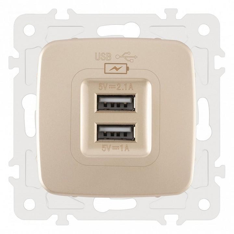 Розетка USB, без рамки Arte Milano am-205 205.46-1.shampan 