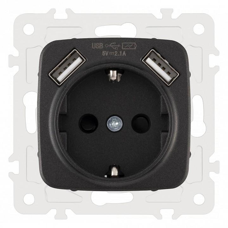 Розетка с заземлением и со шторкой и 2хUSB, без рамки Arte Milano am-205 205.47-1.black 