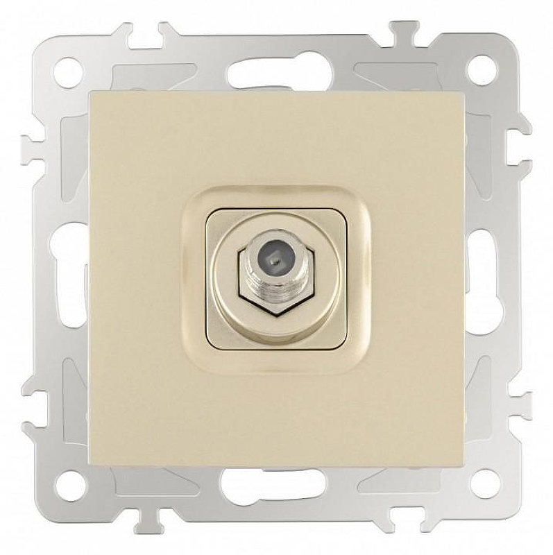 ТВ-розетка без рамки Arte Milano am-206 206.42-1.shampan 