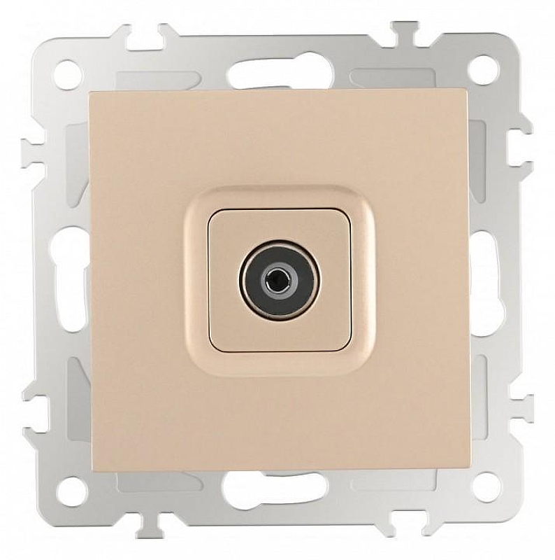 ТВ-розетка без рамки Arte Milano am-206 206.43-1.shampan 