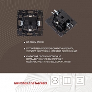 Розетка влагозащищенная с заземлением и со шторкой с крышкой Arte Milano am-217 217.41-1.white цвет Белый-5