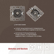 ТВ-розетка без рамки Arte Milano am-217 217.42-1.shampan цвет Бежевый-3