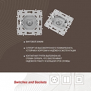 ТВ-розетка без рамки Arte Milano am-217 217.42-1.silver цвет Серебро-3