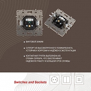 ТВ-розетка без рамки Arte Milano am-217 217.43-1.shampan цвет Бежевый-3