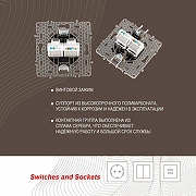 Розетка двойная RJ-11 и Ethernet RJ-45, без рамки Arte Milano am-217 217.44-1.shampan цвет Бежевый-3