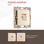 Розетка Ethernet RJ-45 без рамки Arte Milano am-217 217.45-1.shampan цвет Бежевый-1