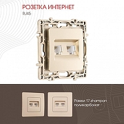 Розетка Ethernet RJ-45 без рамки Arte Milano am-217 217.45-2.shampan цвет Бежевый-1