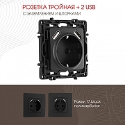 Розетка с заземлением и со шторкой и 2хUSB, без рамки Arte Milano am-217 217.47-1.black цвет Черный-1