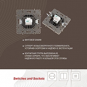 Розетка телефонная RJ-11 без рамки Arte Milano am-217 217.51-1.shampan цвет Бежевый-2