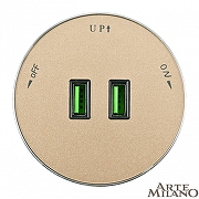 Розетка 2xUSB на треке Arte Milano Am-track-sockets 380011TS/USBx2 Gold цвет Золото-2