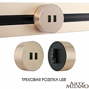 Розетка 2xUSB на треке Arte Milano Am-track-sockets 380011TS/USBx2 Gold цвет Золото-4