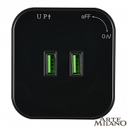 Розетка 2xUSB на треке Arte Milano Am-track-sockets 380022TS/USBx2 Black цвет Черный-2