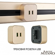 Розетка 2xUSB на треке Arte Milano Am-track-sockets 380022TS/USBx2 Gold цвет Золото-4