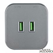 Розетка 2xUSB на треке Arte Milano Am-track-sockets 380022TS/USBx2 Grey цвет Серый-2